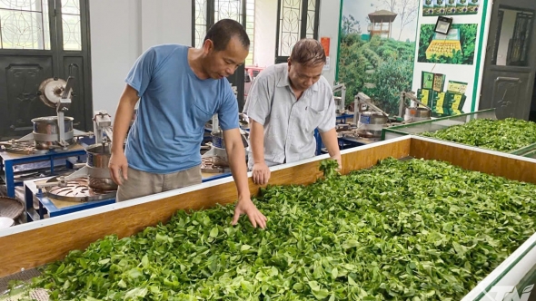 Thái Nguyên có 13 sản phẩm OCOP 5 sao