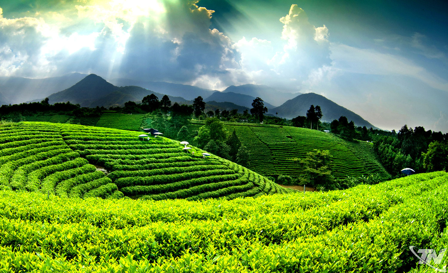 Thái Nguyên định vị thương hiệu du lịch "Hồ trên núi - Trà trong mây"