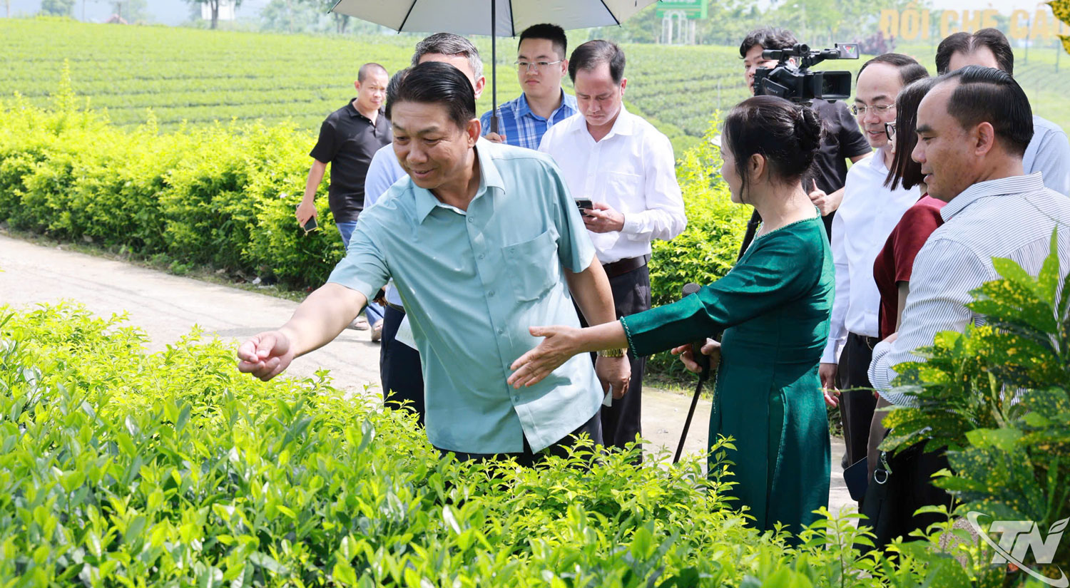 Tăng cường hợp tác phát triển du lịch, nông nghiệp giữa Thái Nguyên và Luông Pha Băng