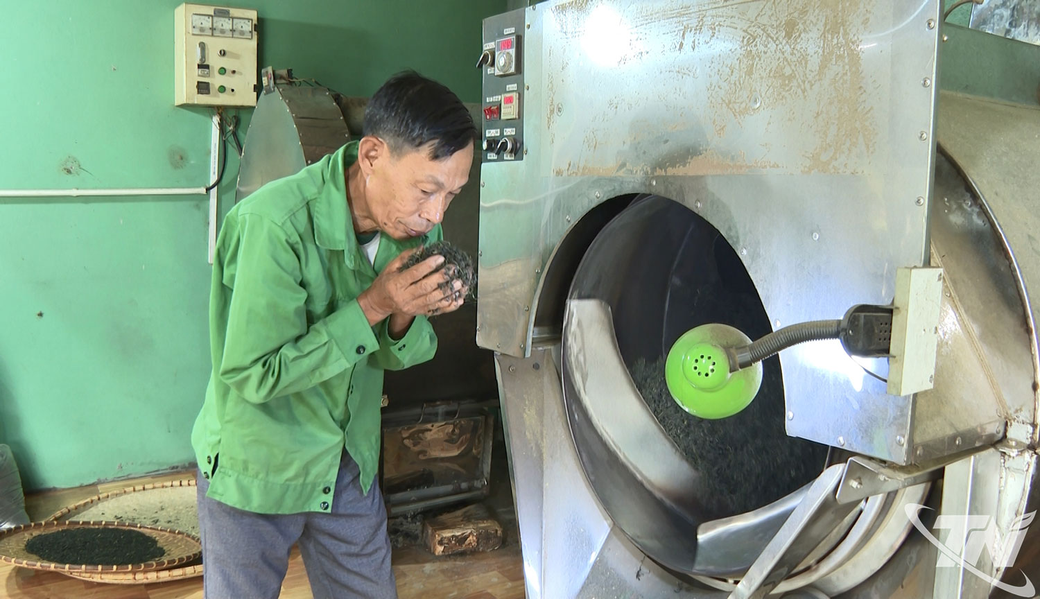 Thái Nguyên: Khuyến công tiếp sức cho ngành chè phát triển