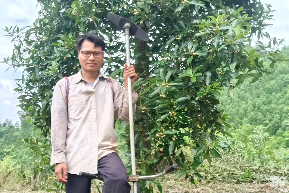Thái Nguyên: Rừng hồi "đánh thức" Na Hấu Thái Nguyên: Rừng hồi "đánh thức" Na Hấu