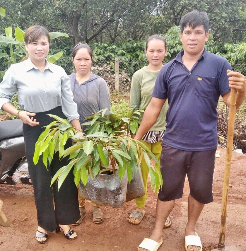 Gia Lai: Trao “cần câu” cho nông dân nghèo Trao “cần câu” cho nông dân nghèo ảnh 1