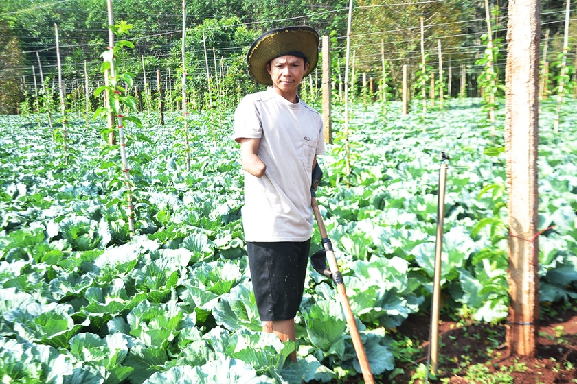 Gia Lai: Khuyết tật vẫn sản xuất giỏi Khuyết tật vẫn sản xuất giỏi ảnh 1