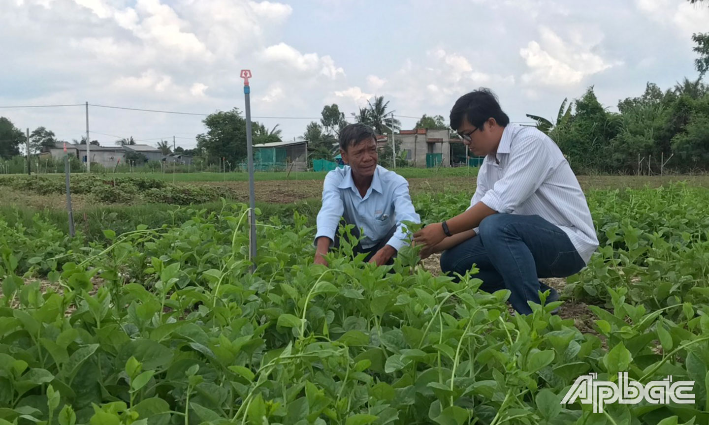 Huyện Gò Công Tây hỗ trợ, tháo gỡ khó khăn để hợp tác xã phát triển Huyện Gò Công Tây hỗ trợ, tháo gỡ khó khăn để hợp tác xã phát triển