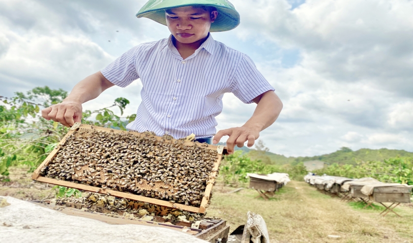 Gia Lai: Chuyển đổi tư duy để nâng tầm giá trị nông sản Chuyển đổi tư duy để nâng tầm giá trị nông sản ảnh 2