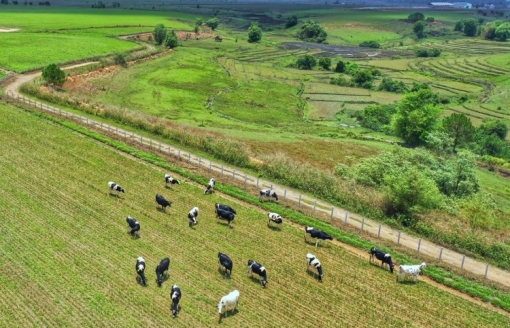 Chuẩn bị động thổ dự án Khu chăn nuôi ứng dụng công nghệ cao DNH - Báo Tây Ninh Online Chuẩn bị động thổ dự án Khu chăn nuôi ứng dụng công nghệ cao DNH - Báo Tây Ninh Online