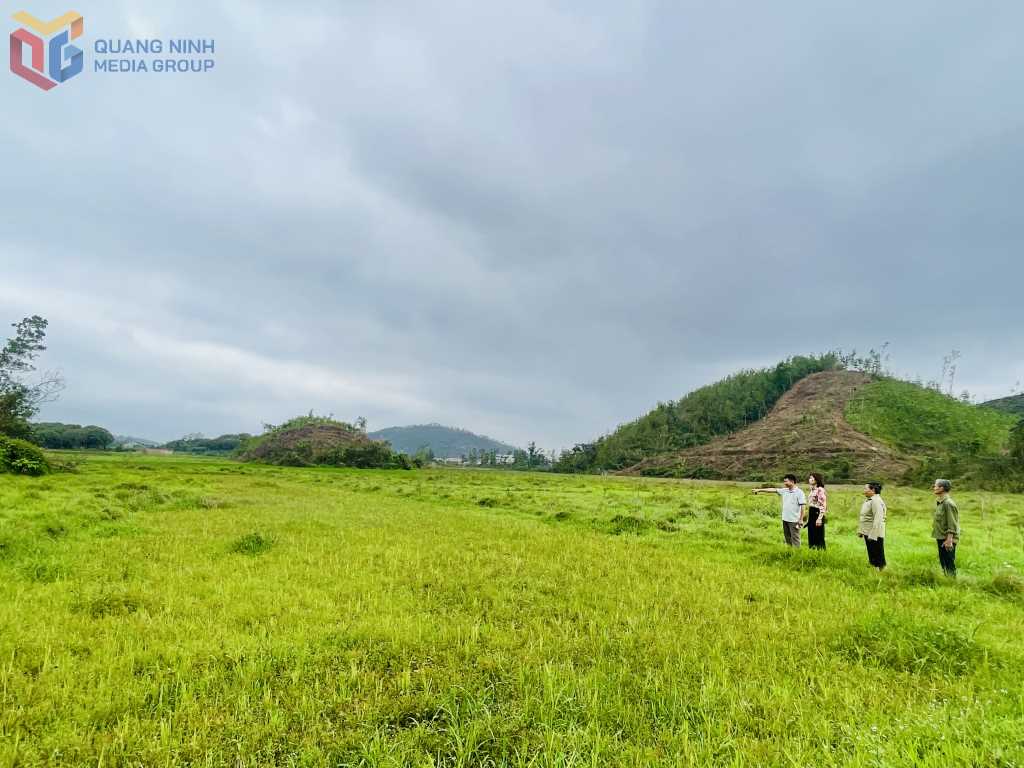 Quang Ninh: Vân Đồn người dân khổ vì dự án “treo”