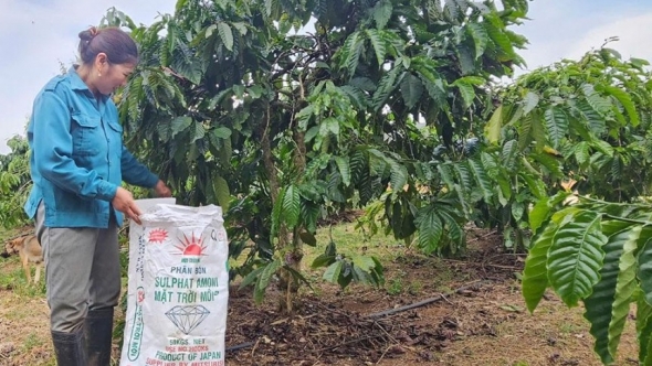 Đắk Lắk: Hiệu quả từ Dự án SACCR tại Ea Kar