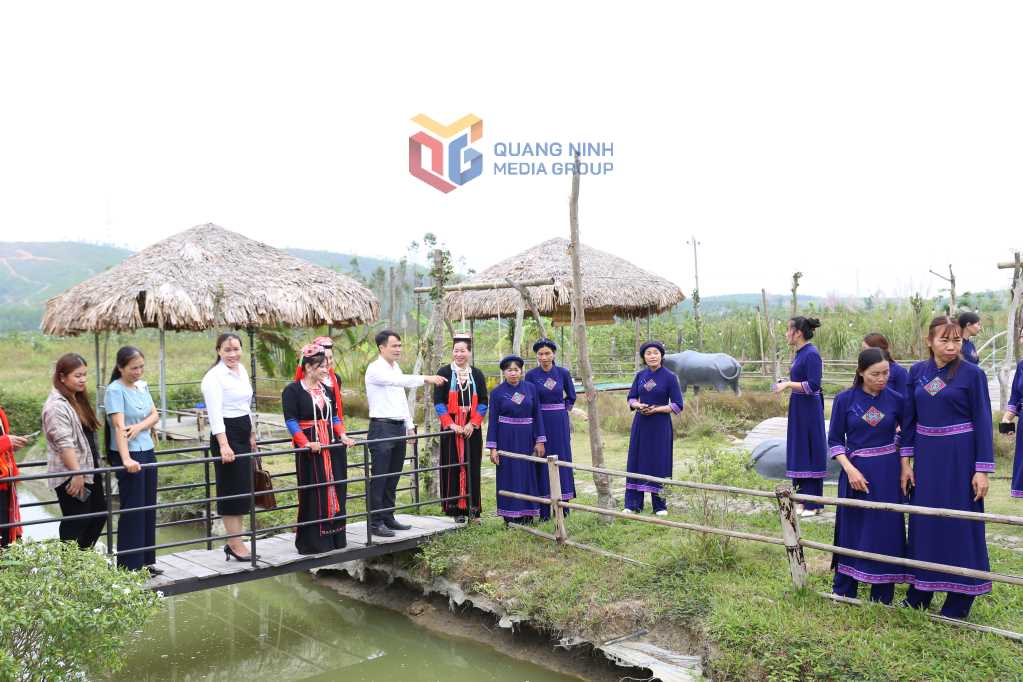 Quảng Ninh: Khám phá du lịch vùng cao Hạ Long Quảng Ninh: Khám phá du lịch vùng cao Hạ Long