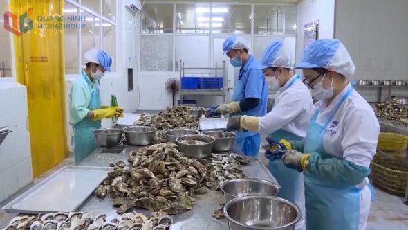 Quảng Ninh: Thúc đẩy phát triển sản phẩm OCOP,