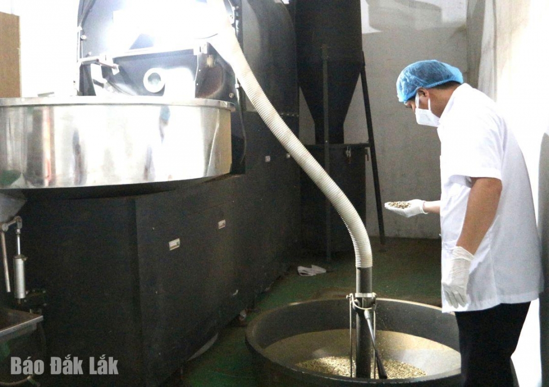 Đắk Lắk: Số doanh nghiệp thành lập mới tăng mạnh Đắk Lắk: Số doanh nghiệp thành lập mới tăng mạnh