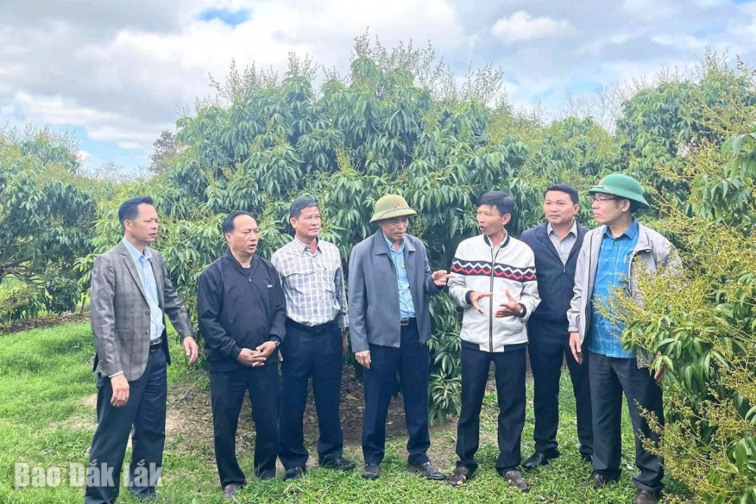 Hiệu quả tổ, hội nghề nghiệp trong phát triển kinh tế tập thể Hiệu quả tổ, hội nghề nghiệp trong phát triển kinh tế tập thể