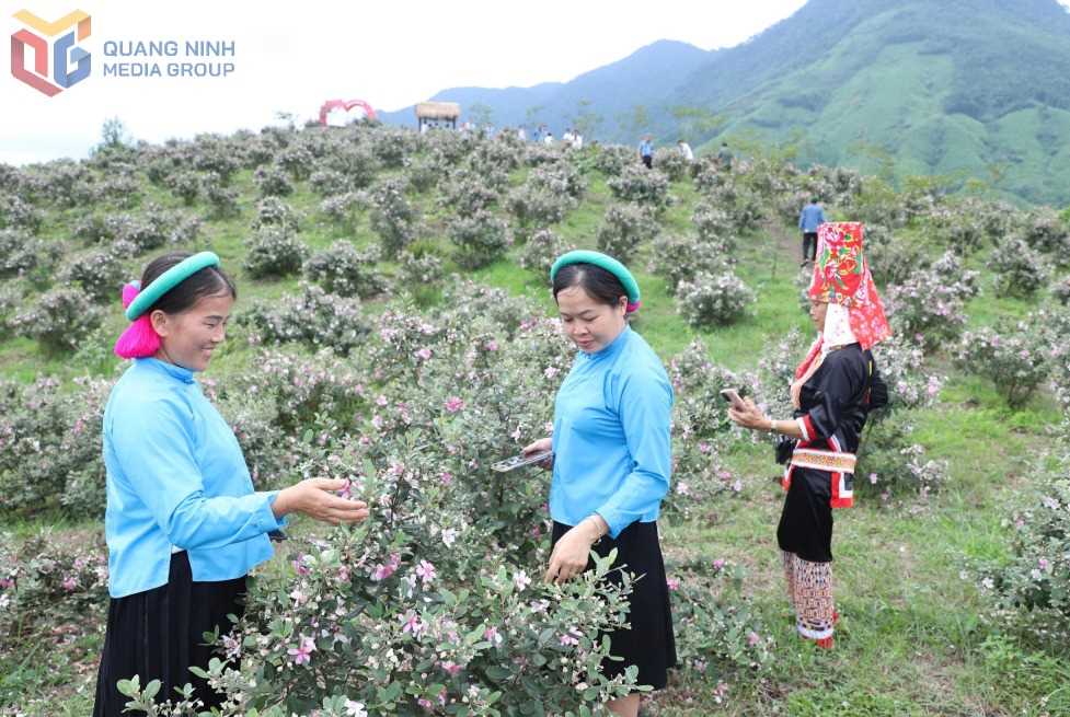 Quảng Ninh: Du lịch văn hóa ở vùng biên