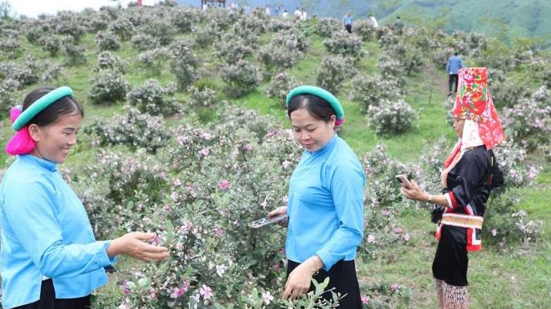 Quảng Ninh: Du lịch văn hóa ở vùng biên