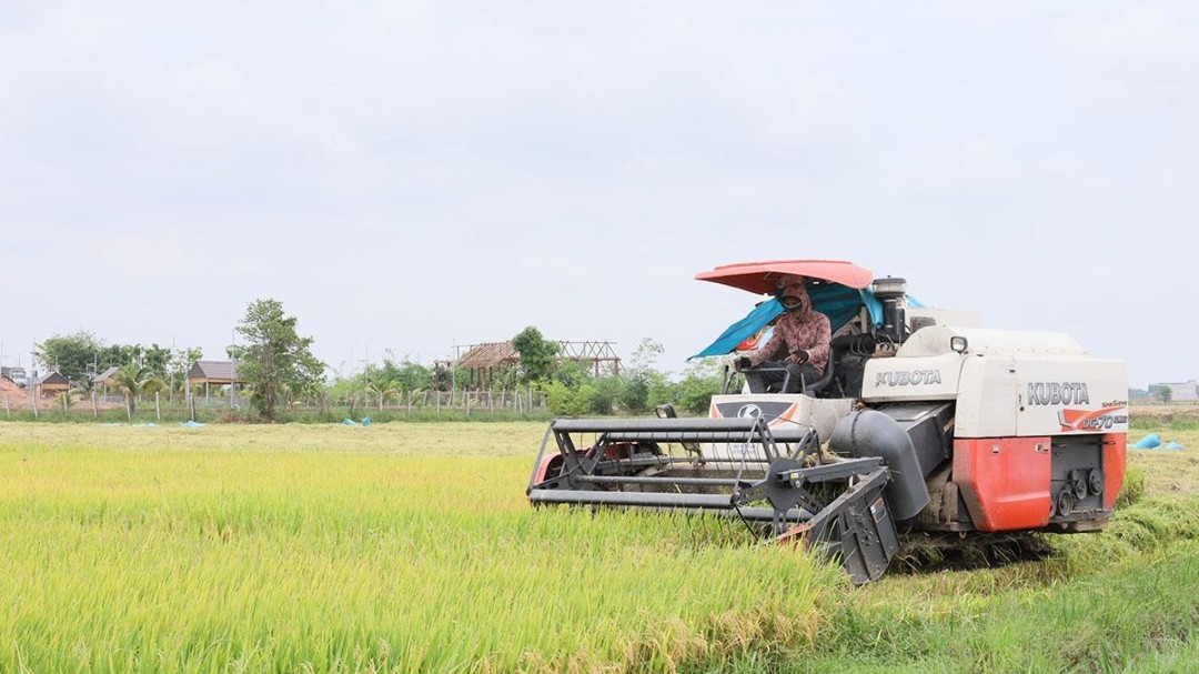 Chuyển từ “xây dựng” sang “kiến tạo”: Tư duy mới cho nông thôn mới