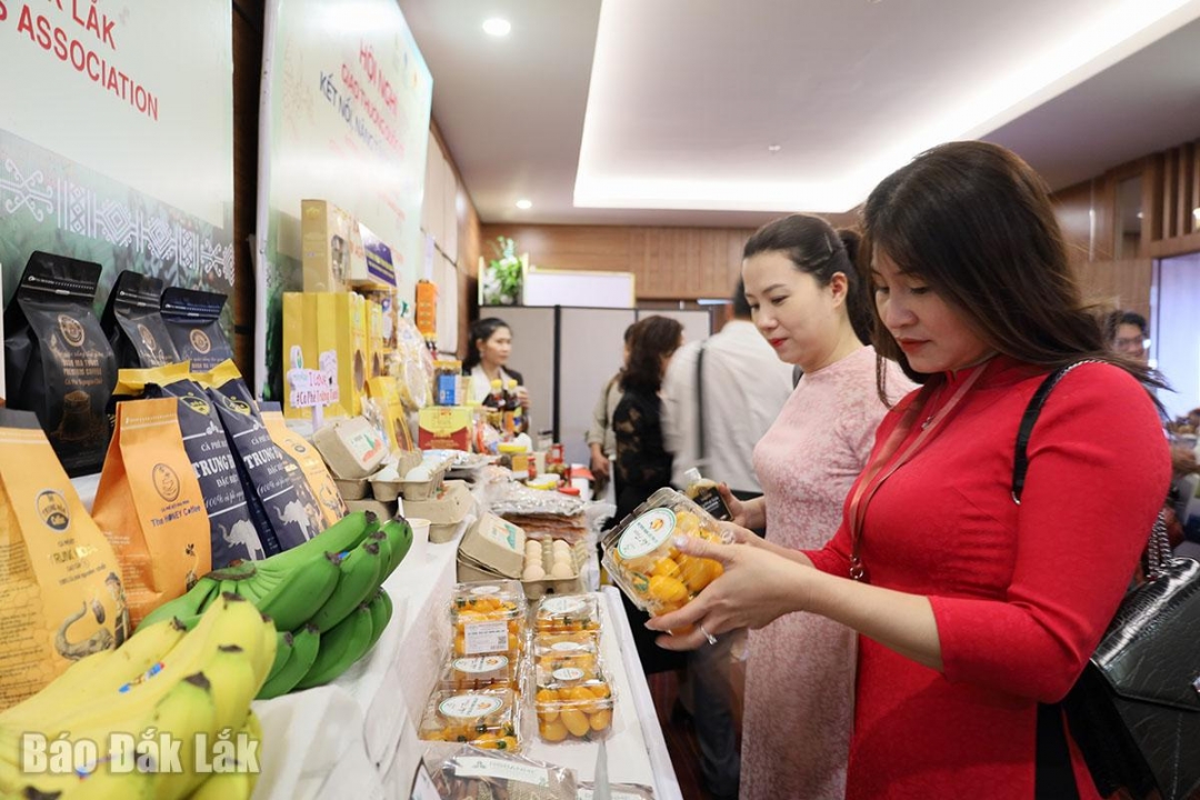 Đắk Lắk: Chuyển từ “xây dựng” sang “kiến tạo”: Tư duy mới cho nông thôn mới