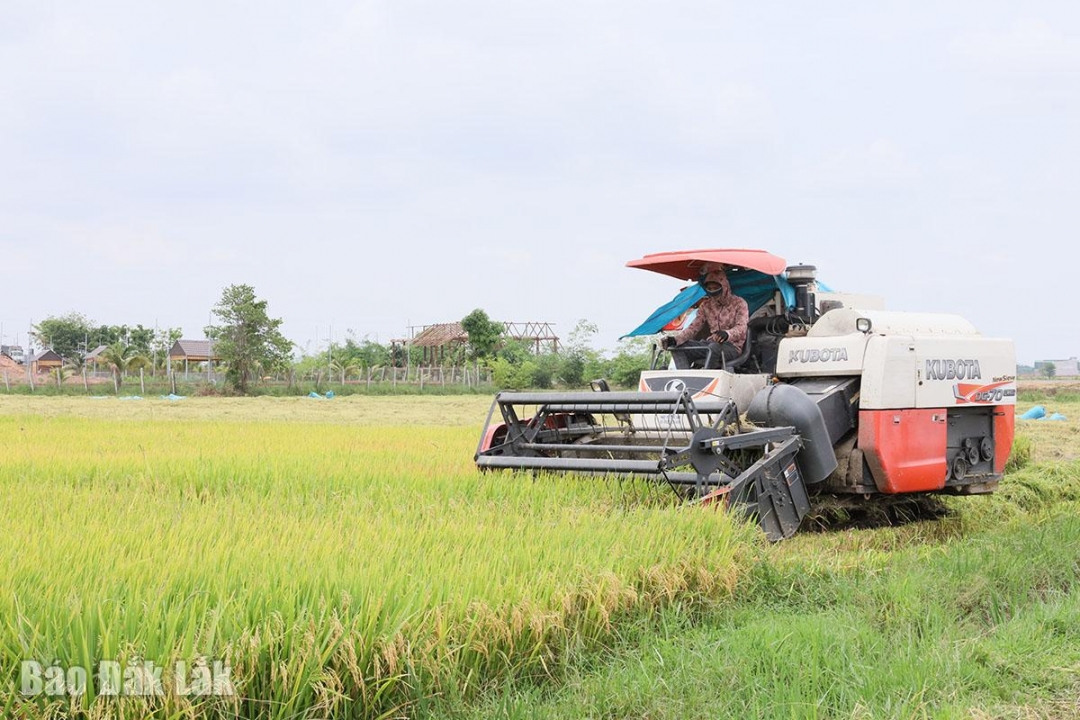 Đắk Lắk: Chuyển từ “xây dựng” sang “kiến tạo”: Tư duy mới cho nông thôn mới