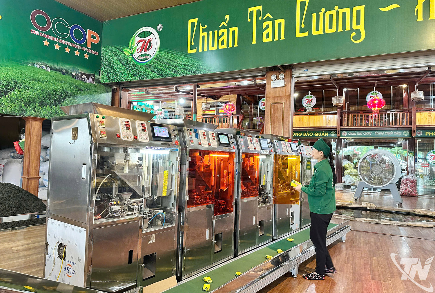 Thái Nguyên: Chuyển đổi xanh cho thương hiệu chè Thái