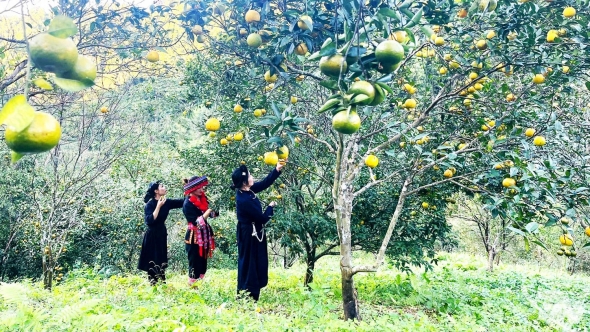 Thái Nguyên: Đầu tư hạ tầng, thúc đẩy phát triển vùng khó khăn