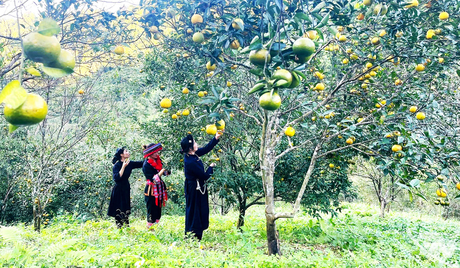 Thái Nguyên: Đầu tư hạ tầng, thúc đẩy phát triển vùng khó khăn