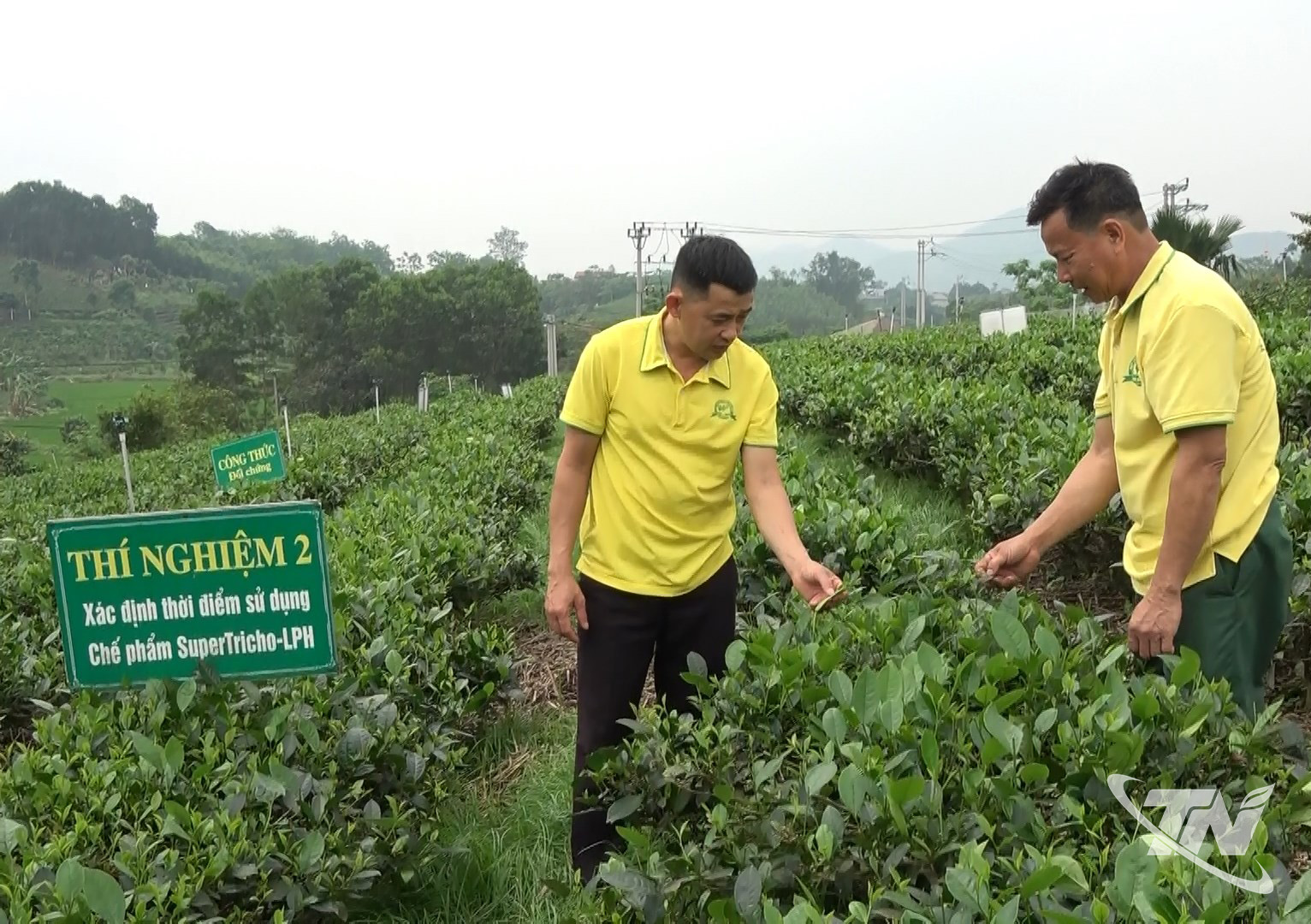 Thái Nguyên khẳng định giá trị OCOP bằng chất lượng bền vững Thái Nguyên khẳng định giá trị OCOP bằng chất lượng bền vững