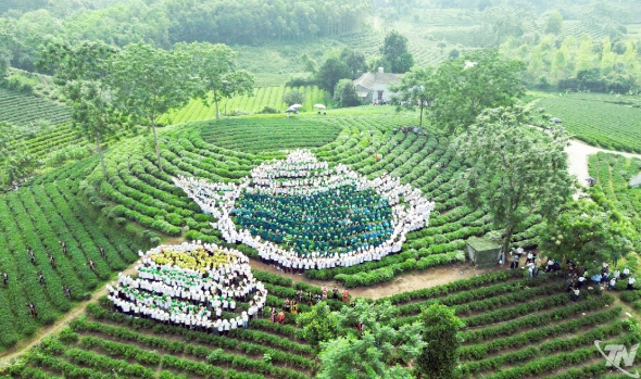 Thái Nguyên: Xã Vô Tranh xác lập 2 kỷ lục Việt Nam