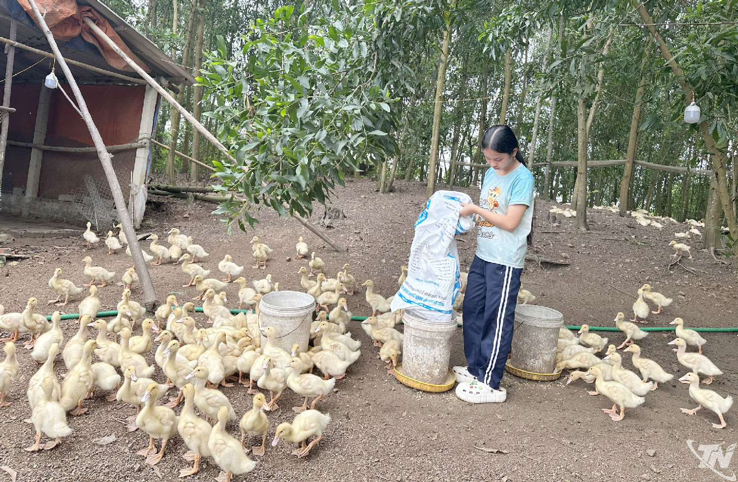 Thái Nguyên: "Chắp cánh" ước mơ cho học sinh vùng cao