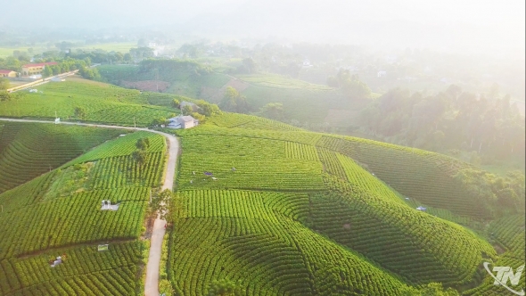 OCOP Thái Nguyên và bài toán nâng tầm giá trị nông sản địa phương