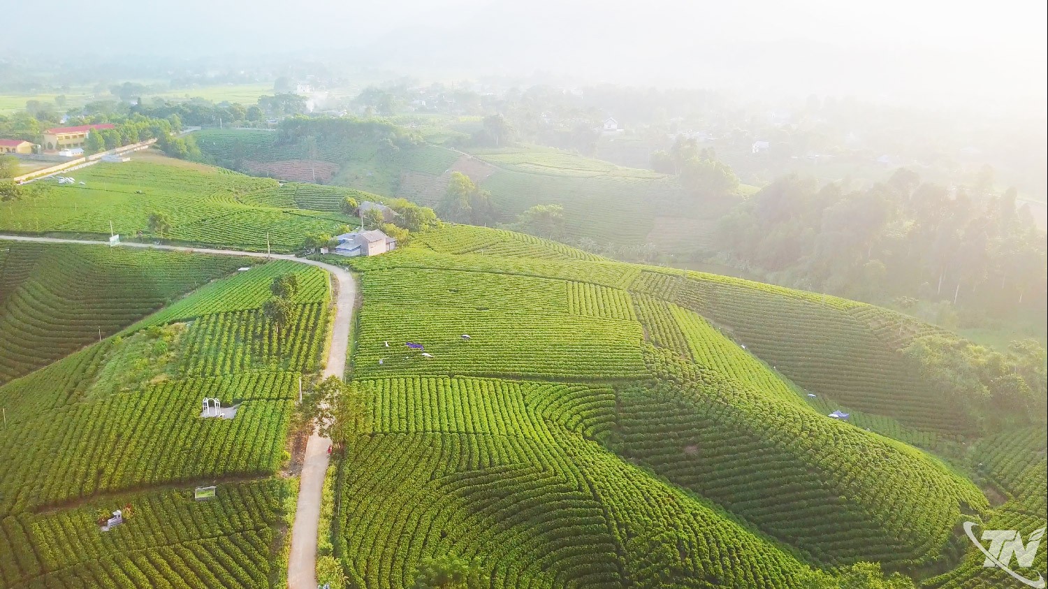 OCOP Thái Nguyên và bài toán nâng tầm giá trị nông sản địa phương