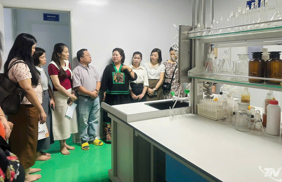 OCOP Thái Nguyên và bài toán nâng tầm giá trị nông sản địa phương