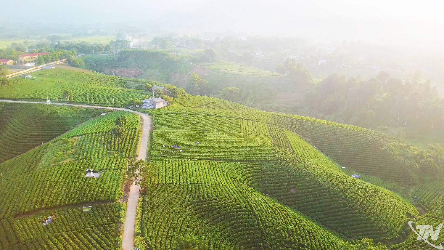 OCOP Thái Nguyên và bài toán nâng tầm giá trị nông sản địa phương