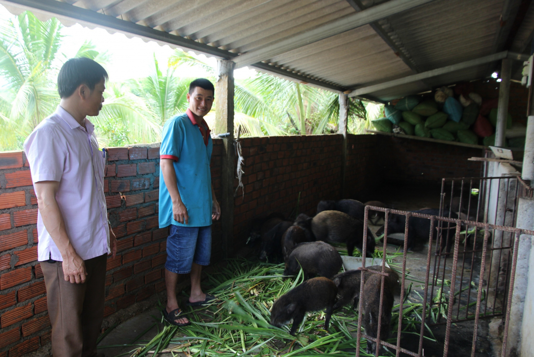 Đắk Lắk: Huyện M’Drắk: Nỗ lực thoát nghèo bền vững