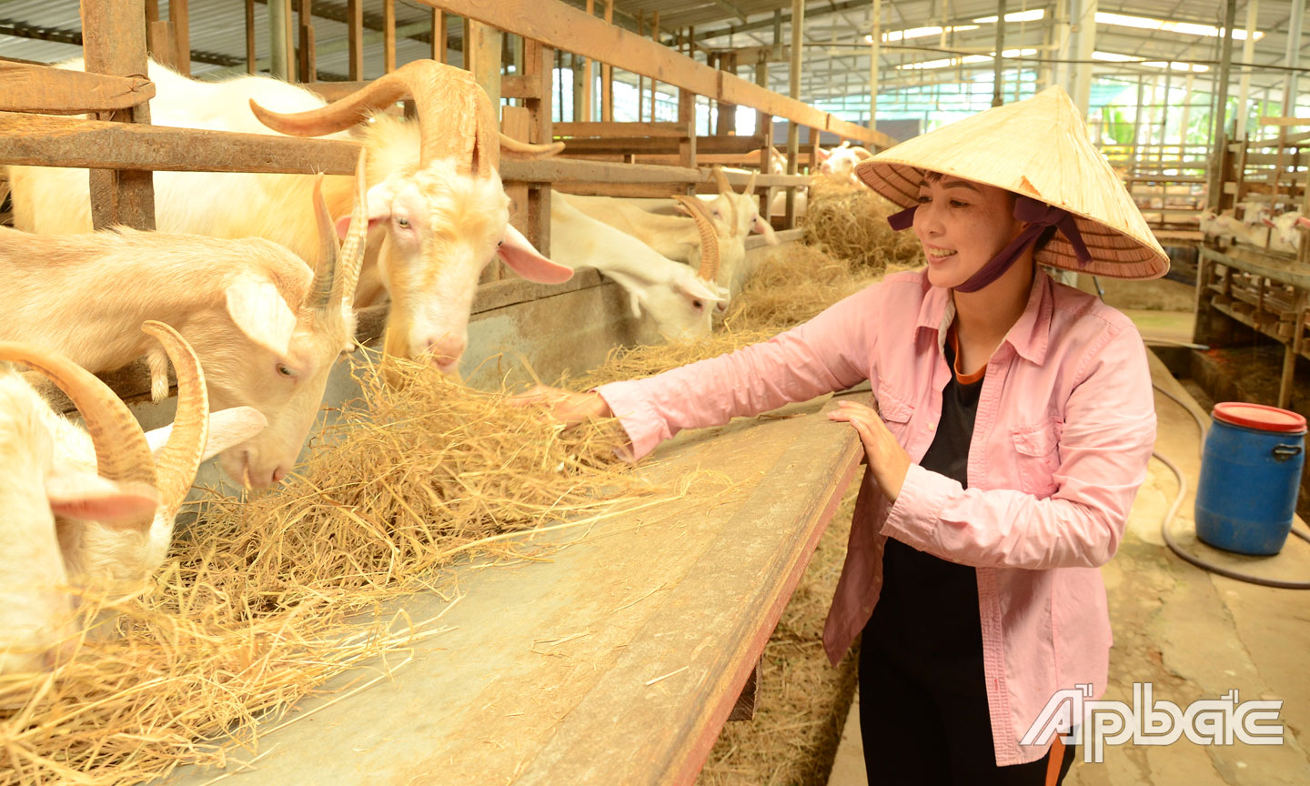 Tiền Giang: Phát huy vai trò hợp tác xã trong xây dựng nông thôn mới