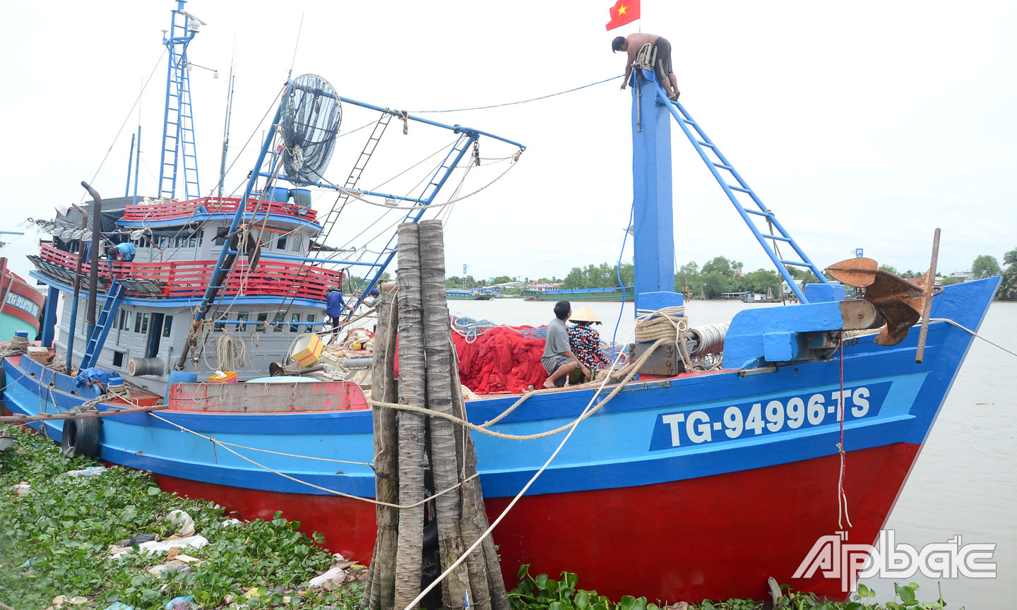 Tiền Giang nỗ lực gỡ bỏ 