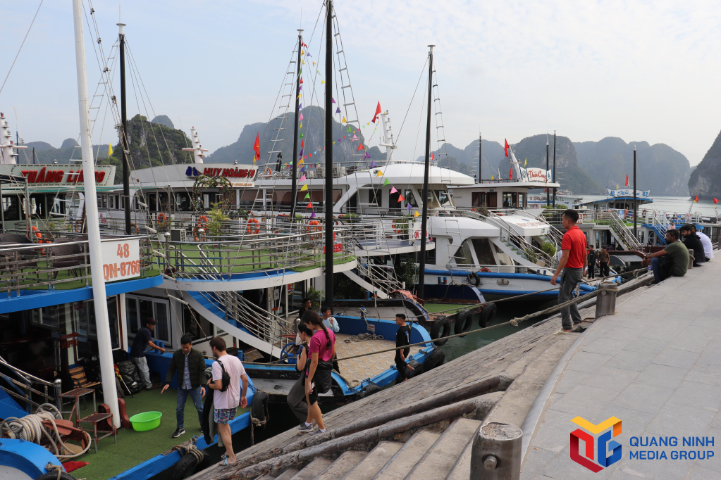 Quảng Ninh: Giữ màu xanh của biển Quảng Ninh: Giữ màu xanh của biển