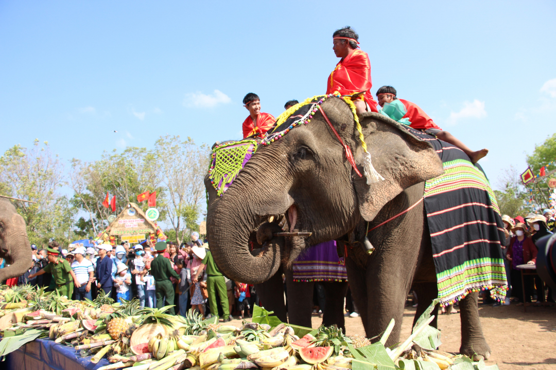 Đắk Lắk: Thúc đẩy phát triển du lịch vùng biên Buôn Đôn