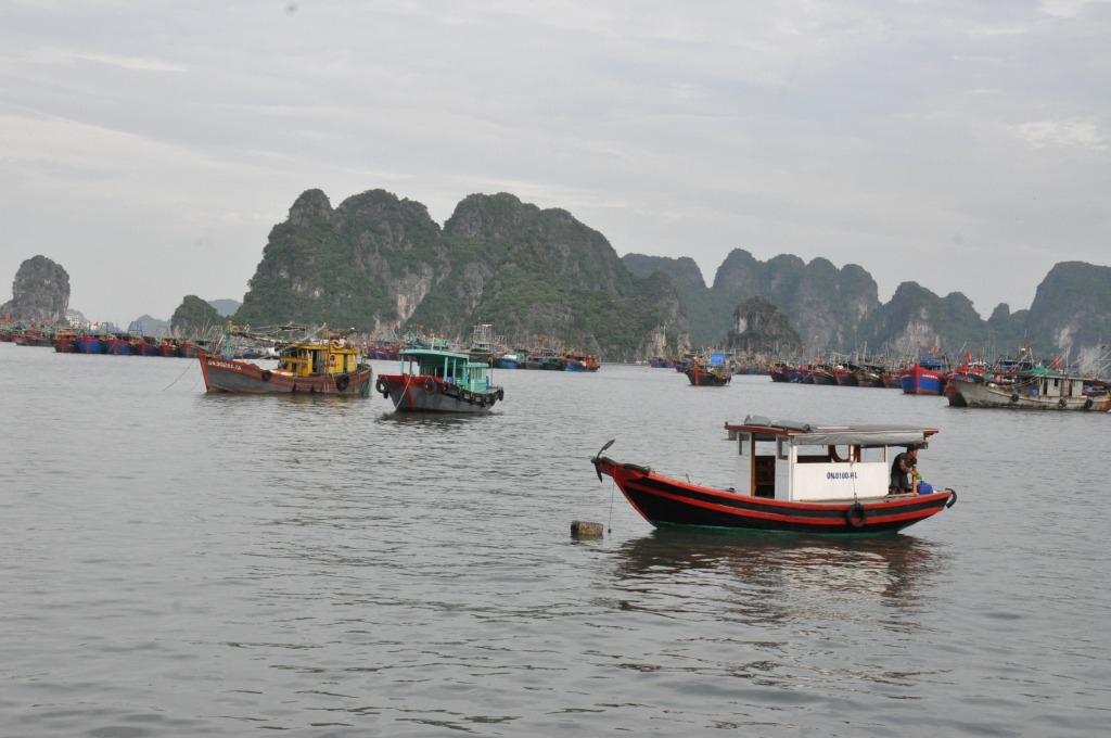 Quảng Ninh: Để ngư dân có nơi neo đậu tàu, thuyền an toàn