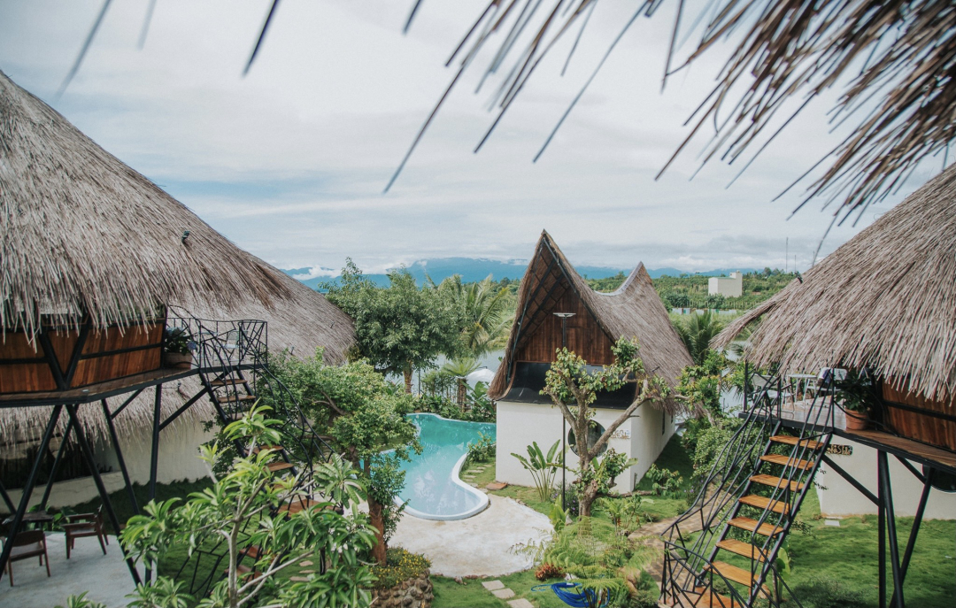 Đắk Lắk: Độc đáo quán cà phê chim cảnh