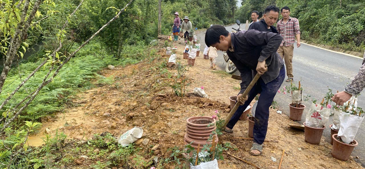 Lào Cai: Hỗ trợ trồng hơn 35 nghìn cây hoa phát triển du lịch sinh thái Lào Cai: Hỗ trợ trồng hơn 35 nghìn cây hoa phát triển du lịch sinh thái
