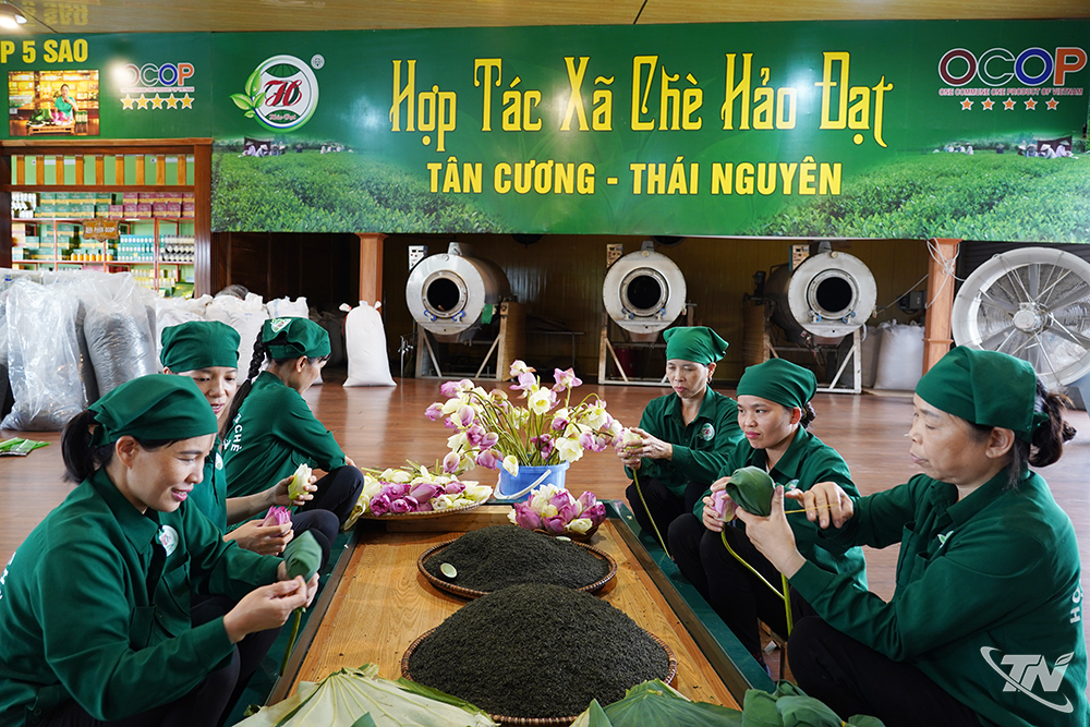 Thái Nguyên: Đổi mới trong sản xuất nông nghiệp Thái Nguyên: Đổi mới trong sản xuất nông nghiệp