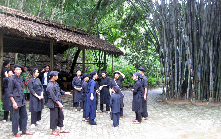 Vững vàng từ cội rễ Vững vàng từ cội rễ