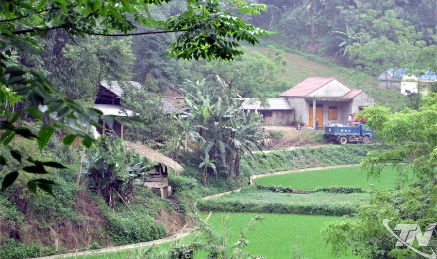 Thái Nguyên: Vững vàng từ cội rễ Thái Nguyên: Vững vàng từ cội rễ