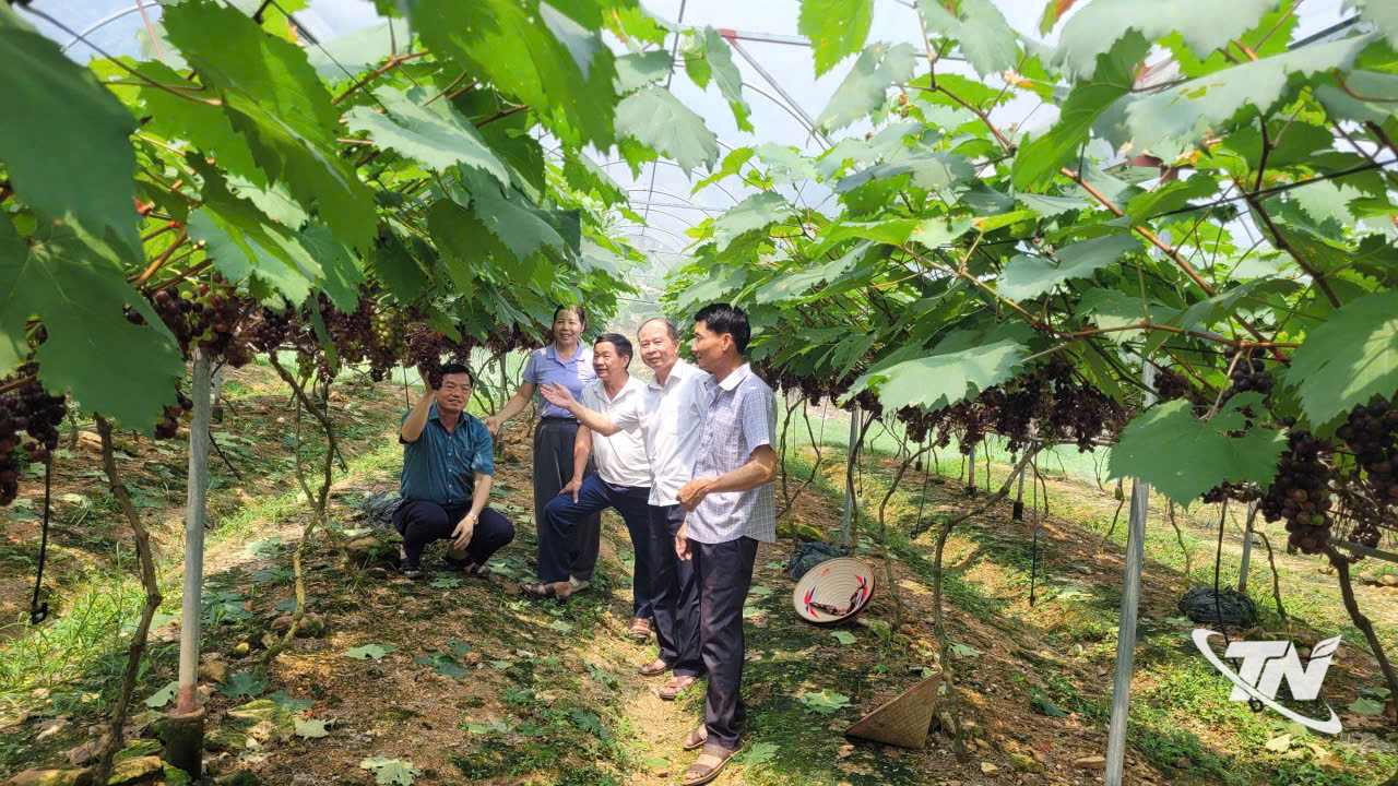 Thái Nguyên: Tiềm năng du lịch trải nghiệm ở Phúc Thuận