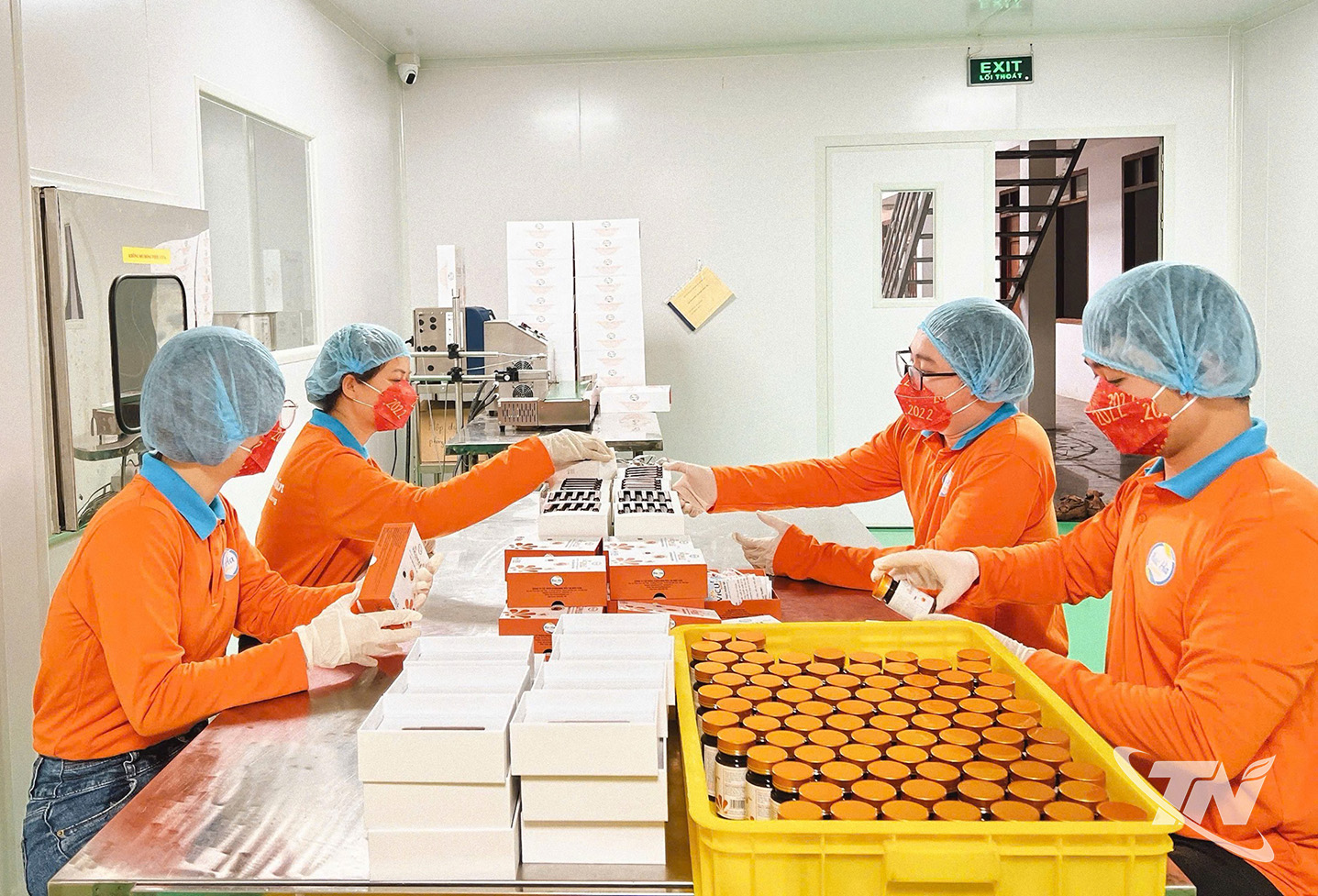 Thái Nguyên: Đánh thức "kho vàng xanh" giữa đại ngàn Thái Nguyên: Đánh thức "kho vàng xanh" giữa đại ngàn