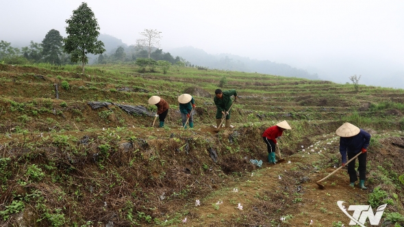 Thái Nguyên: Đánh thức "kho vàng xanh" giữa đại ngàn