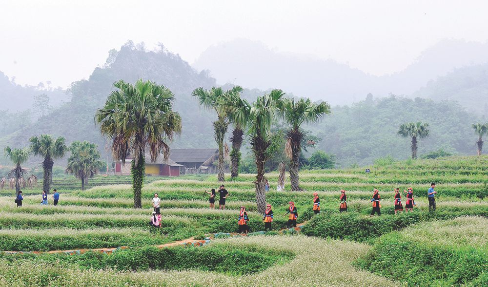 Thái Nguyên   Huyền thoại xanh