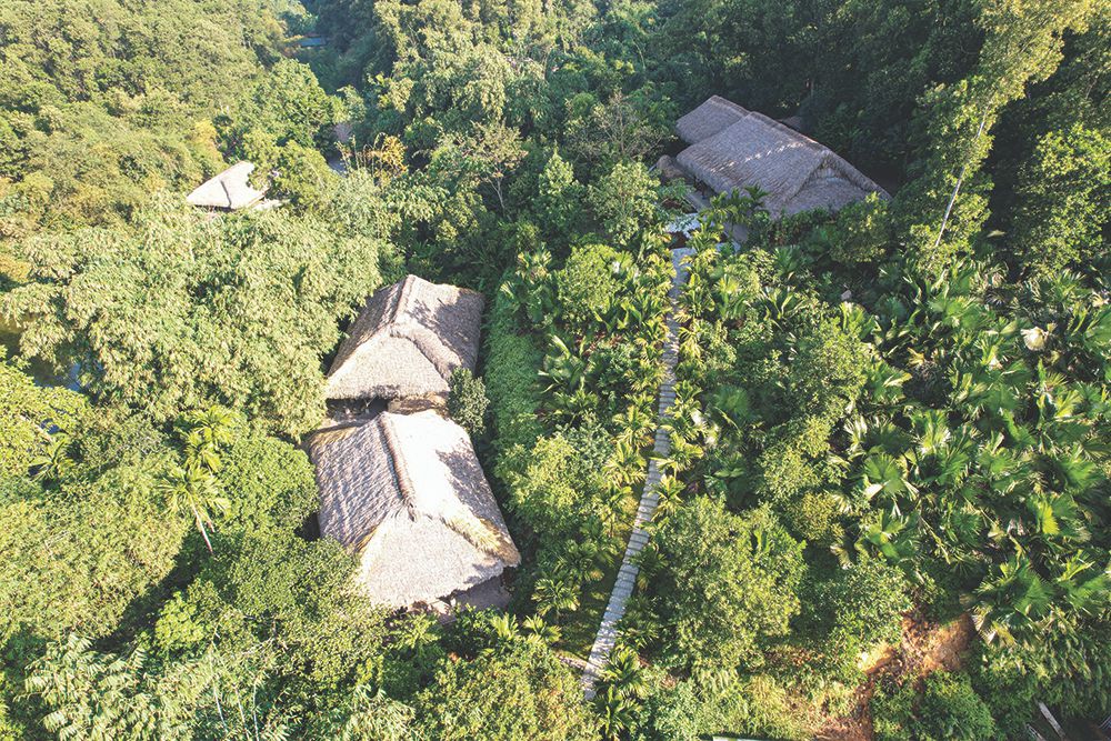 Thái Nguyên   Huyền thoại xanh