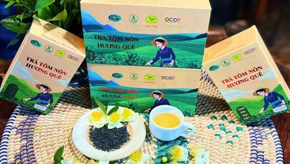 Thái Nguyên: Hương quê lan toả trong từng búp chè