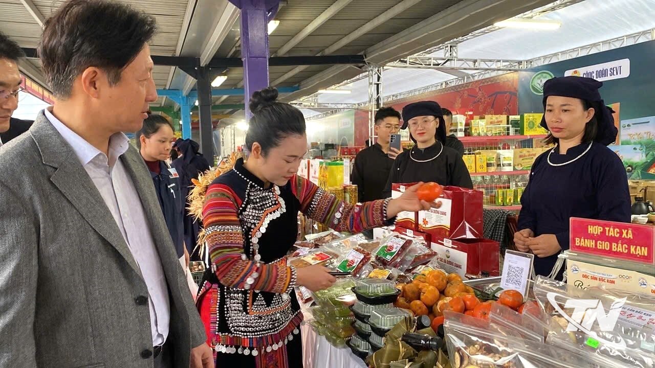 Mở rộng thị trường cho sản phẩm OCOP Mở rộng thị trường cho sản phẩm OCOP