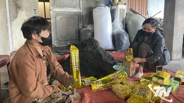 Thái Nguyên: Hương chè Tân Thủy